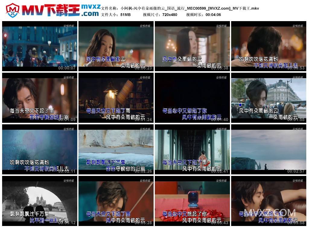 小阿枫-风中有朵雨做的云_国语_流行_MEC00599